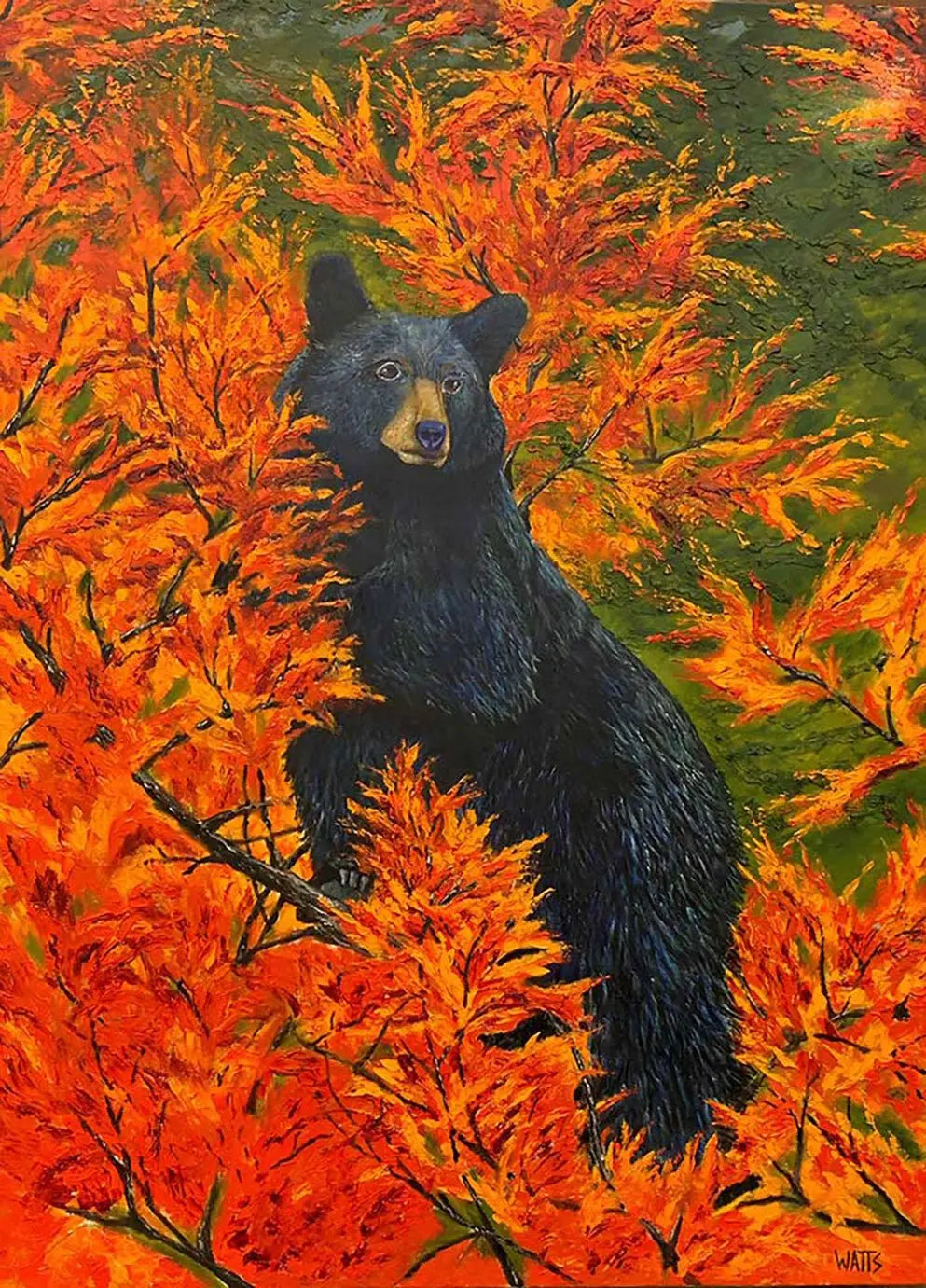 "Bella" - Limited Edition Print - The Art Shop | Artist Graham Watts